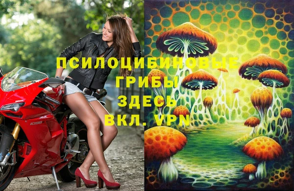 прущий лед Аркадак
